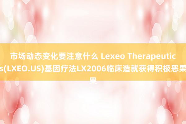 市场动态变化要注意什么 Lexeo Therapeutics(LXEO.US)基因疗法LX2006临床造就获得积极恶果