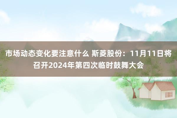 市场动态变化要注意什么 斯菱股份：11月11日将召开2024年第四次临时鼓舞大会