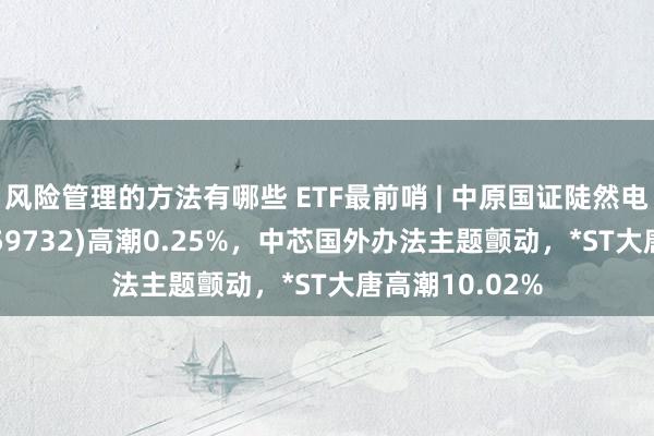 风险管理的方法有哪些 ETF最前哨 | 中原国证陡然电子主题ETF(159732)高潮0.25%，中芯国外办法主题颤动，*ST大唐高潮10.02%