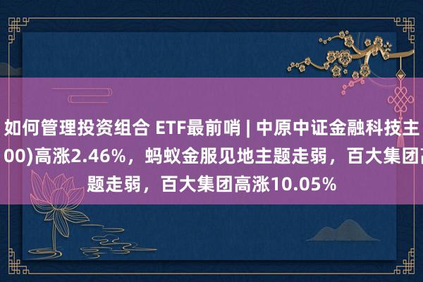 如何管理投资组合 ETF最前哨 | 中原中证金融科技主题ETF(516100)高涨2.46%，蚂蚁金服见地主题走弱，百大集团高涨10.05%