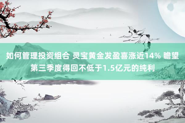 如何管理投资组合 灵宝黄金发盈喜涨近14% 瞻望第三季度得回不低于1.5亿元的纯利