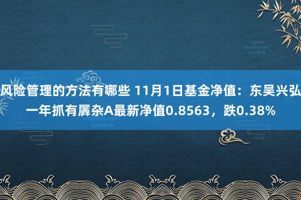 风险管理的方法有哪些 11月1日基金净值：东吴兴弘一年抓有羼杂A最新净值0.8563，跌0.38%