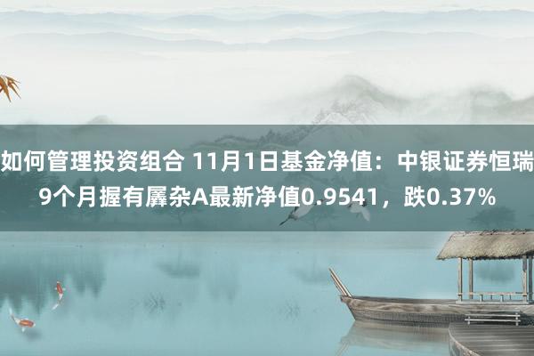 如何管理投资组合 11月1日基金净值：中银证券恒瑞9个月握有羼杂A最新净值0.9541，跌0.37%