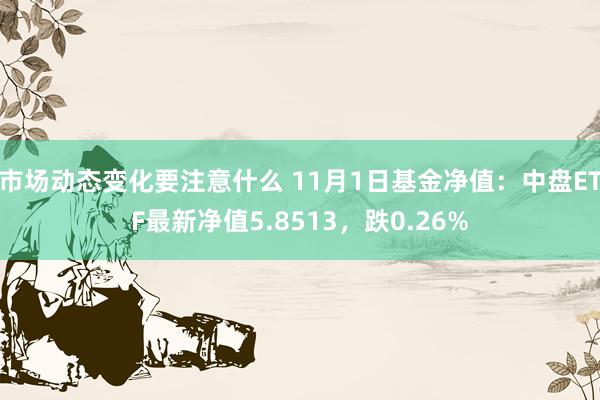 市场动态变化要注意什么 11月1日基金净值：中盘ETF最新净值5.8513，跌0.26%