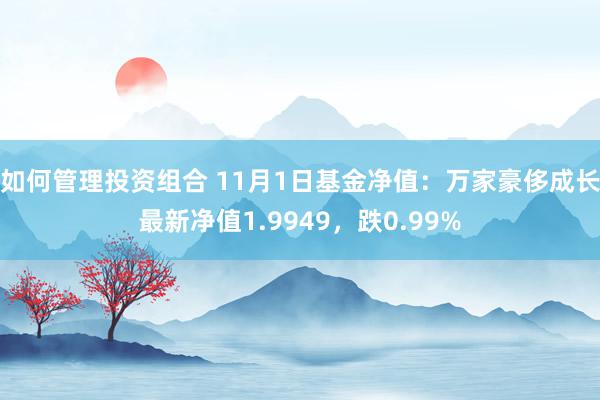 如何管理投资组合 11月1日基金净值：万家豪侈成长最新净值1.9949，跌0.99%