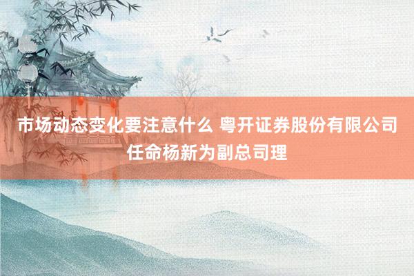 市场动态变化要注意什么 粤开证券股份有限公司任命杨新为副总司理