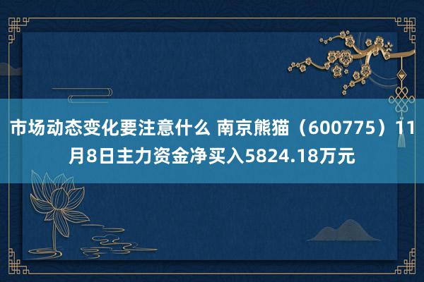 市场动态变化要注意什么 南京熊猫（600775）11月8日主力资金净买入5824.18万元