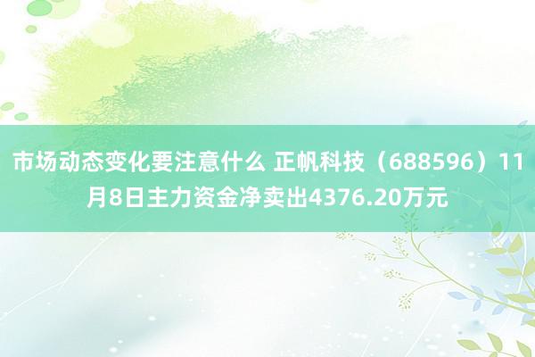 市场动态变化要注意什么 正帆科技（688596）11月8日主力资金净卖出4376.20万元