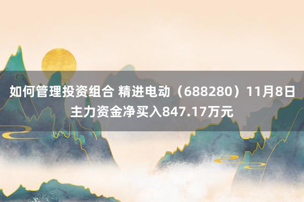 如何管理投资组合 精进电动（688280）11月8日主力资金净买入847.17万元