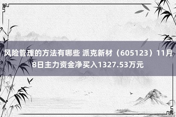 风险管理的方法有哪些 派克新材（605123）11月8日主力资金净买入1327.53万元