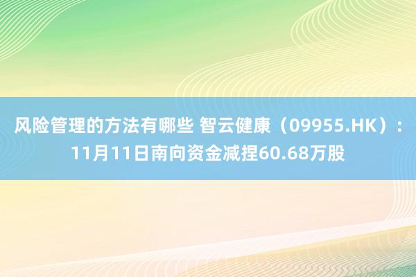 风险管理的方法有哪些 智云健康（09955.HK）：11月11日南向资金减捏60.68万股