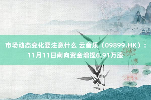 市场动态变化要注意什么 云音乐（09899.HK）：11月11日南向资金增捏6.91万股