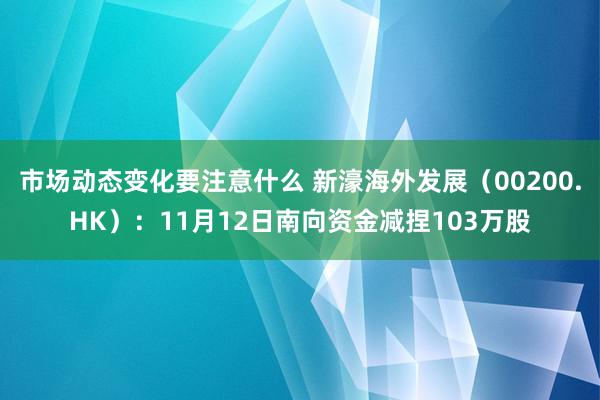 市场动态变化要注意什么 新濠海外发展（00200.HK）：11月12日南向资金减捏103万股