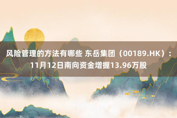 风险管理的方法有哪些 东岳集团（00189.HK）：11月12日南向资金增握13.96万股