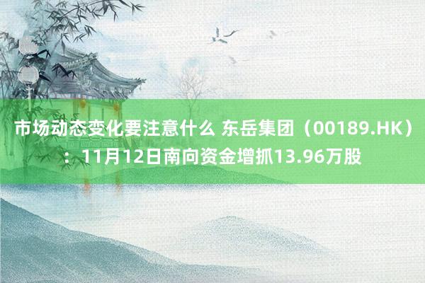 市场动态变化要注意什么 东岳集团（00189.HK）：11月12日南向资金增抓13.96万股