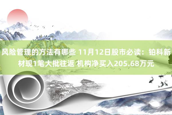 风险管理的方法有哪些 11月12日股市必读：铂科新材现1笔大批往返 机构净买入205.68万元