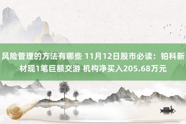 风险管理的方法有哪些 11月12日股市必读：铂科新材现1笔巨额交游 机构净买入205.68万元