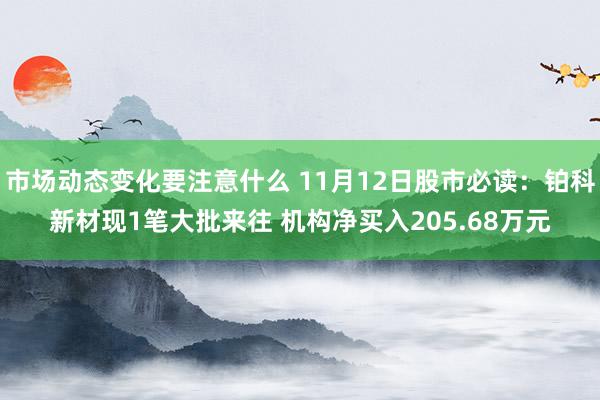 市场动态变化要注意什么 11月12日股市必读：铂科新材现1笔大批来往 机构净买入205.68万元