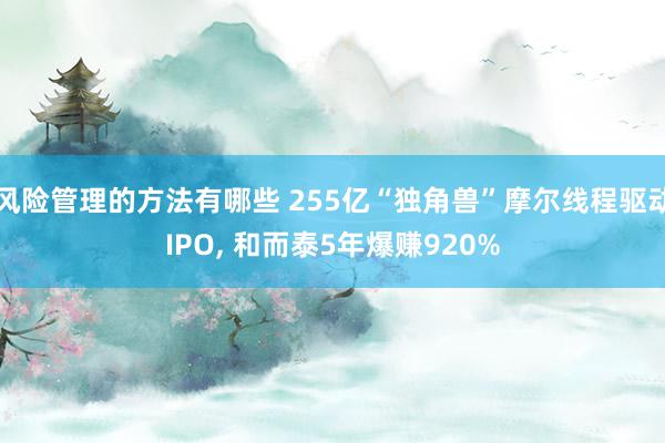 风险管理的方法有哪些 255亿“独角兽”摩尔线程驱动IPO, 和而泰5年爆赚920%