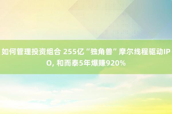 如何管理投资组合 255亿“独角兽”摩尔线程驱动IPO, 和而泰5年爆赚920%