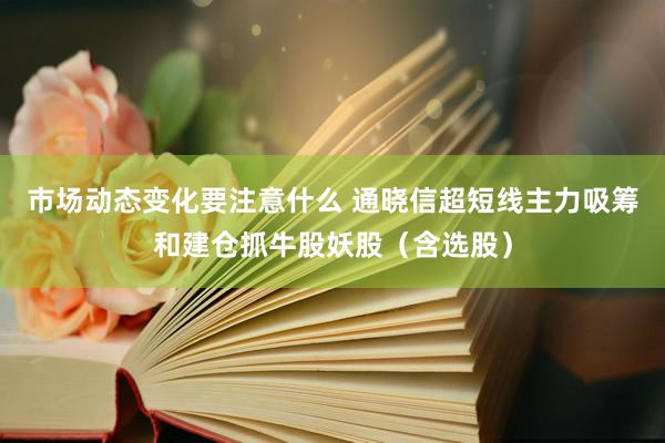 市场动态变化要注意什么 通晓信超短线主力吸筹和建仓抓牛股妖股（含选股）