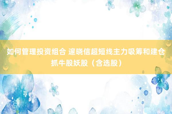 如何管理投资组合 邃晓信超短线主力吸筹和建仓抓牛股妖股（含选股）