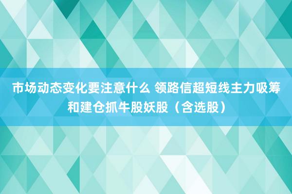 市场动态变化要注意什么 领路信超短线主力吸筹和建仓抓牛股妖股（含选股）