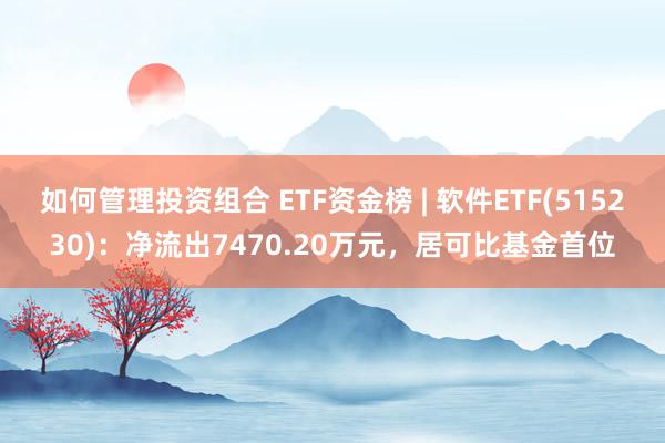 如何管理投资组合 ETF资金榜 | 软件ETF(515230)：净流出7470.20万元，居可比基金首位