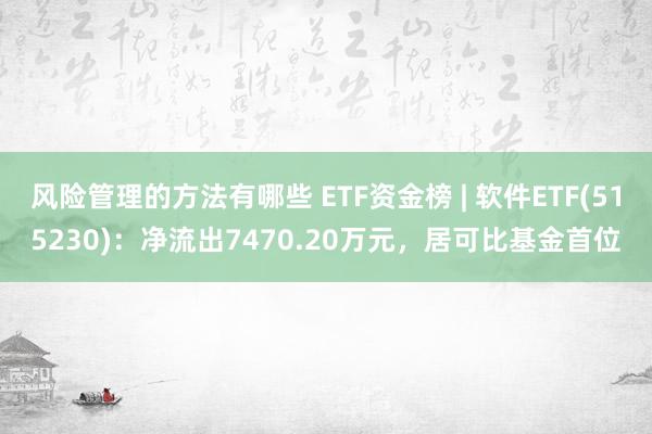 风险管理的方法有哪些 ETF资金榜 | 软件ETF(515230)：净流出7470.20万元，居可比基金首位