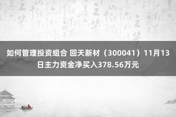 如何管理投资组合 回天新材（300041）11月13日主力资金净买入378.56万元