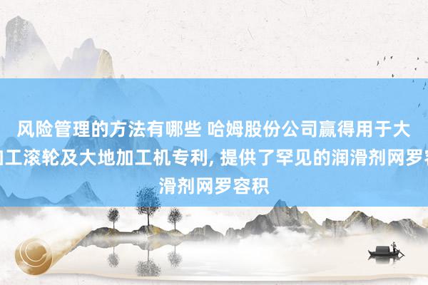 风险管理的方法有哪些 哈姆股份公司赢得用于大地加工滚轮及大地加工机专利, 提供了罕见的润滑剂网罗容积