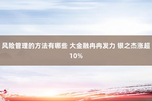 风险管理的方法有哪些 大金融冉冉发力 银之杰涨超10%