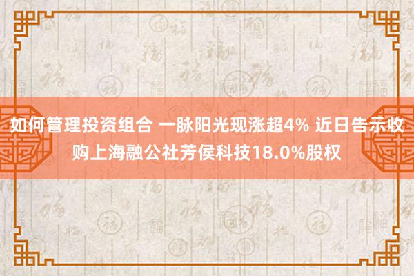 如何管理投资组合 一脉阳光现涨超4% 近日告示收购上海融公社芳侯科技18.0%股权