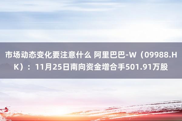 市场动态变化要注意什么 阿里巴巴-W（09988.HK）：11月25日南向资金增合手501.91万股