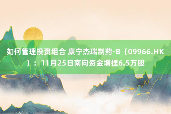 如何管理投资组合 康宁杰瑞制药-B（09966.HK）：11月25日南向资金增捏6.5万股