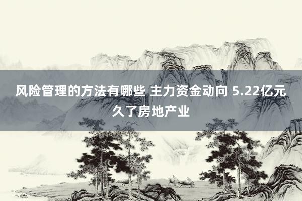 风险管理的方法有哪些 主力资金动向 5.22亿元久了房地产业