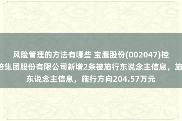 风险管理的方法有哪些 宝鹰股份(002047)控股的深圳市宝鹰栽培集团股份有限公司新增2条被施行东说念主信息，施行方向204.57万元