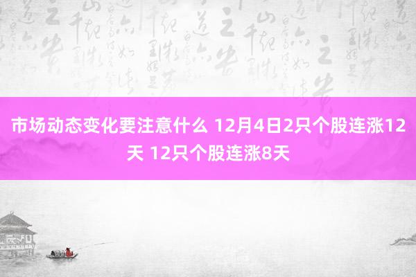 市场动态变化要注意什么 12月4日2只个股连涨12天 12只个股连涨8天