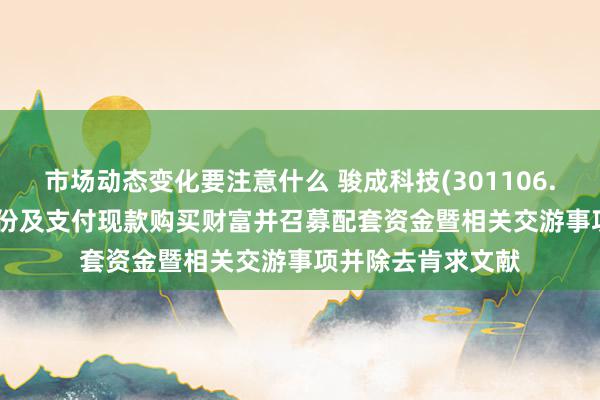 市场动态变化要注意什么 骏成科技(301106.SZ): 隔断刊行股份及支付现款购买财富并召募配套资金暨相关交游事项并除去肯求文献