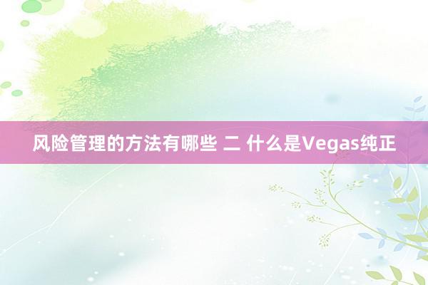 风险管理的方法有哪些 二 什么是Vegas纯正