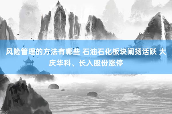 风险管理的方法有哪些 石油石化板块阐扬活跃 大庆华科、长入股份涨停