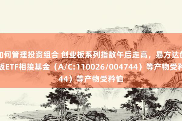 如何管理投资组合 创业板系列指数午后走高，易方达创业板ETF相接基金（A/C:110026/004744）等产物受矜恤