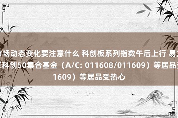 市场动态变化要注意什么 科创板系列指数午后上行 易方达上证科创50集合基金（A/C: 011608/011609）等居品受热心