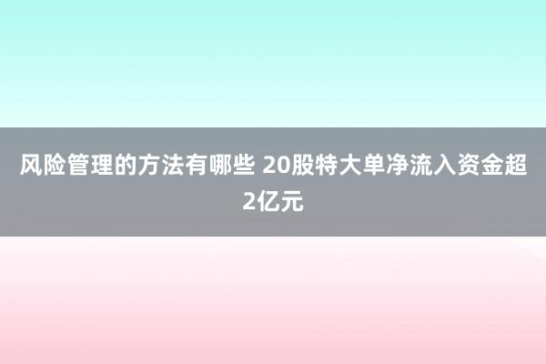 风险管理的方法有哪些 20股特大单净流入资金超2亿元