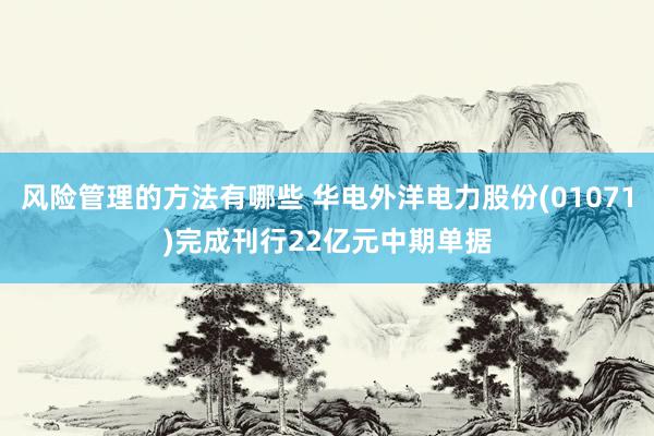 风险管理的方法有哪些 华电外洋电力股份(01071)完成刊行22亿元中期单据