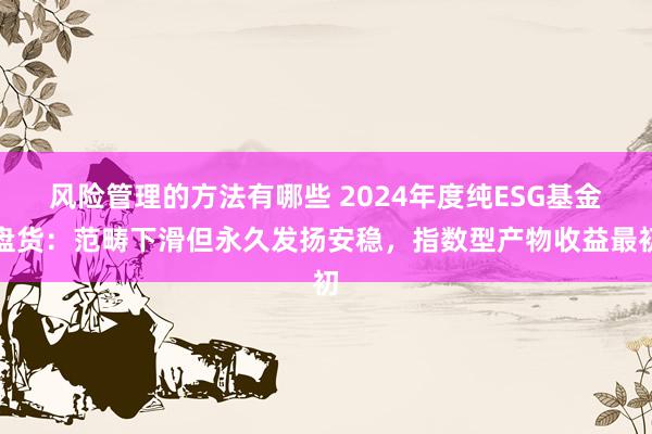 风险管理的方法有哪些 2024年度纯ESG基金盘货：范畴下滑但永久发扬安稳，指数型产物收益最初