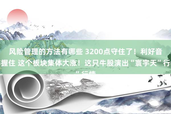 风险管理的方法有哪些 3200点守住了！利好音书握住 这个板块集体大涨！这只牛股演出“寰宇天”行情