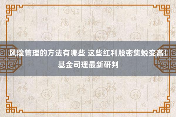 风险管理的方法有哪些 这些红利股密集蜕变高！基金司理最新研判