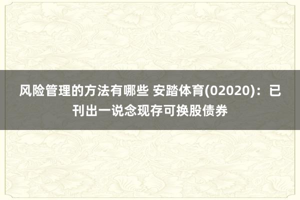 风险管理的方法有哪些 安踏体育(02020)：已刊出一说念现存可换股债券