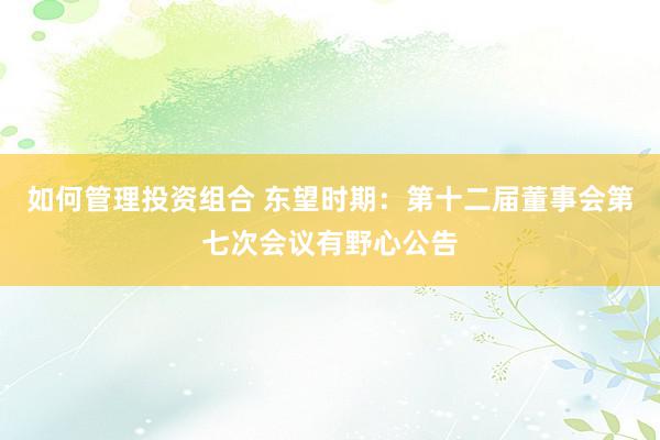 如何管理投资组合 东望时期：第十二届董事会第七次会议有野心公告